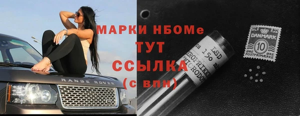 прущие грибы Абдулино
