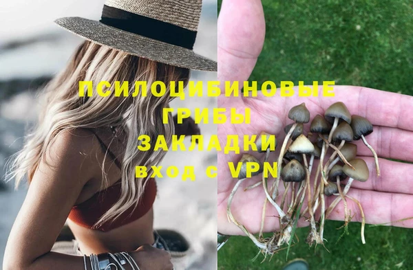 прущие грибы Абдулино