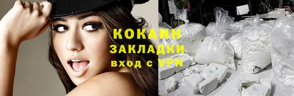 прущие грибы Абдулино