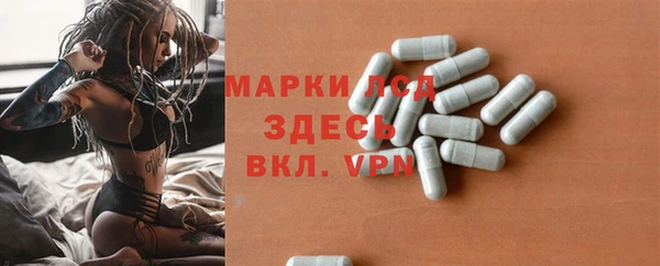 прущие грибы Абдулино