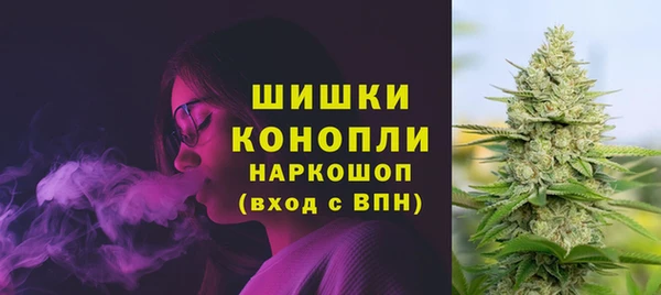 прущие грибы Абдулино