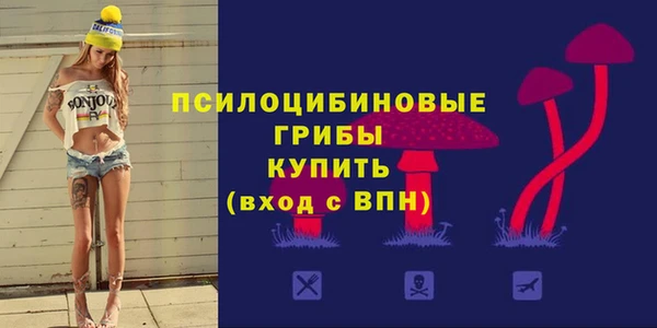 прущие грибы Абдулино
